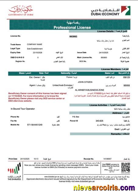 Editable UAE Dubai Professional License Of Company Word And PDF Template, Version 2