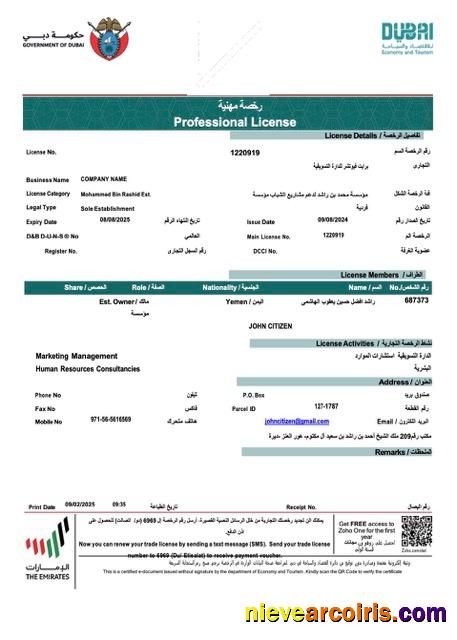 Professional UAE Dubai Professional License Of Company Word And PDF Template