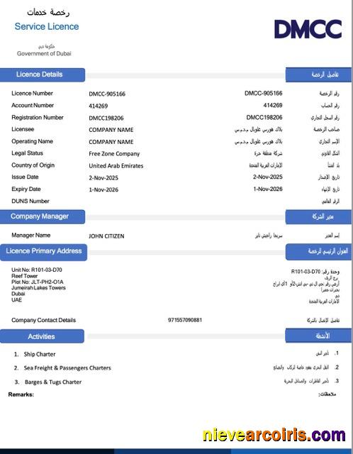 Editable UAE Dubai Service License Word And PDF Template