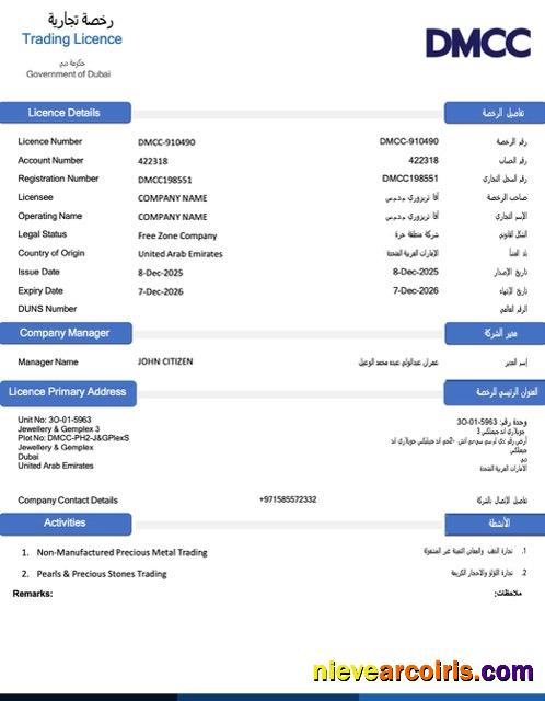 Realistic UAE Dubai Trading License Word And PDF Template, Version 2