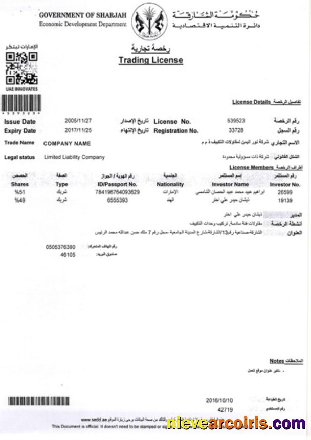 UAE Trading License Photolook