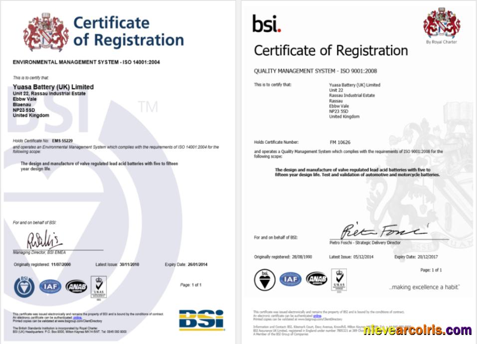 Realistic UK BSI Certificate Of Registration Word And PDF Template