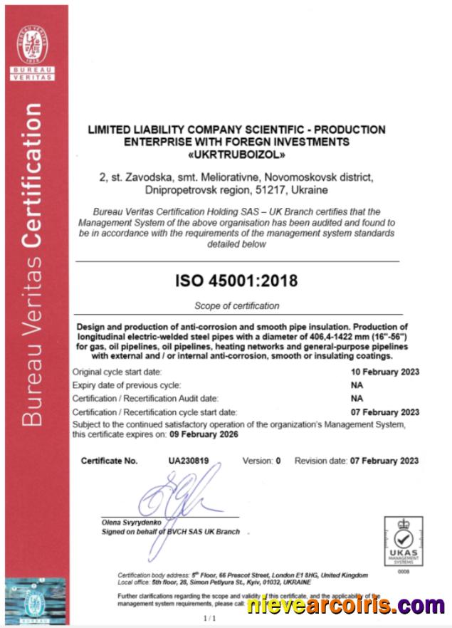Professional UK Bureau Veritas Ceritificate Of Business Registration Word And PDF Template