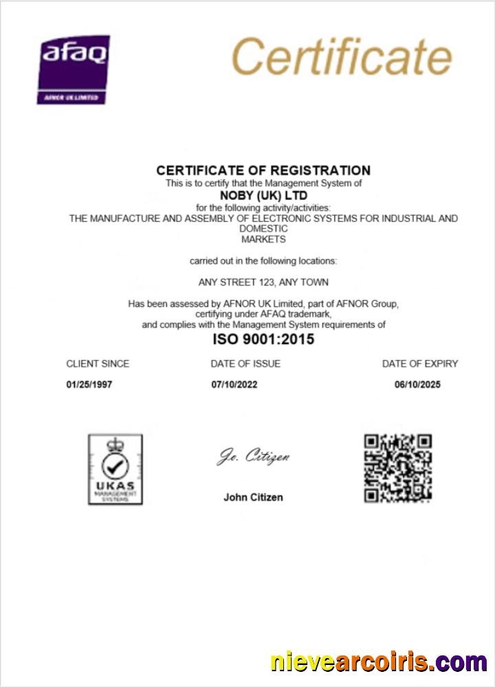 Editable UK Noby Ltd Certificate Of Business Registration Word And PDF Template