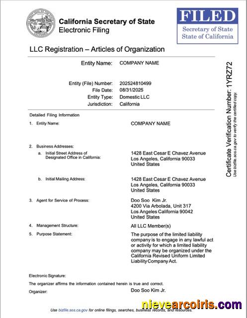 Realistic USA California LLC Registration Word And PDF Template