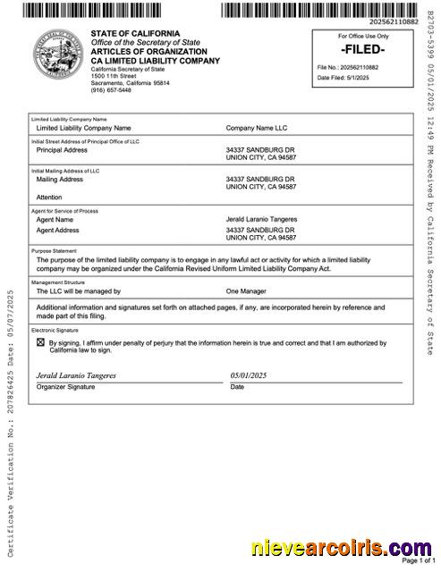 Professional USA California Articles Of Organization Limited Liability Company Word And PDF Template
