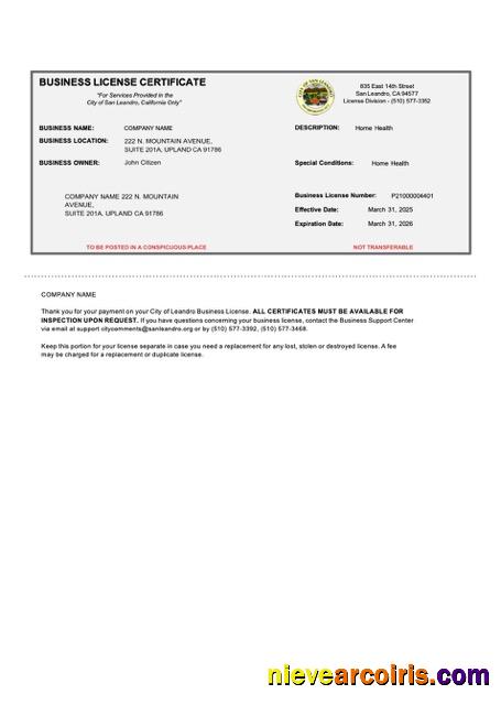 Professional USA California Business License Certificate Word And PDF Template