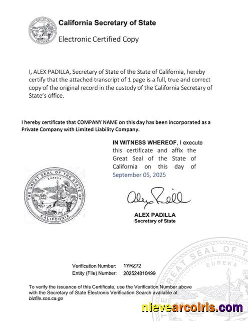 Editable USA California Electronic Registration Certificate Word And PDF Template