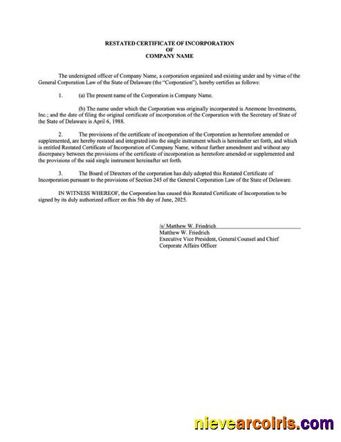 Professional USA Delaware Certificate Of Incorporation Word And PDF Template