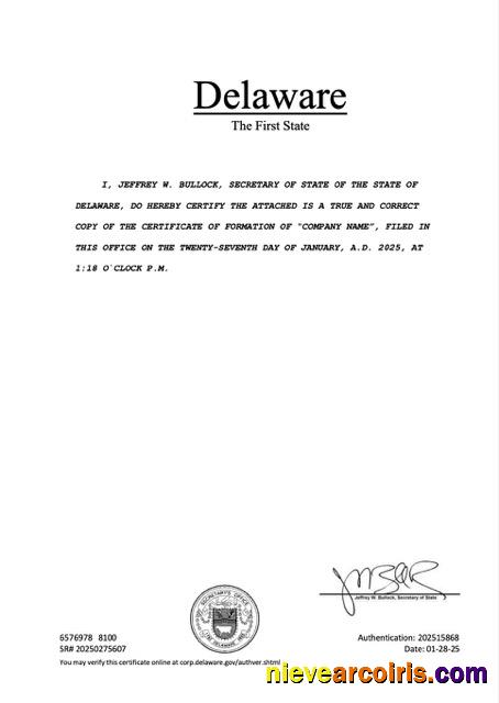 Realistic USA Delaware Registration Certificate Word And PDF Template