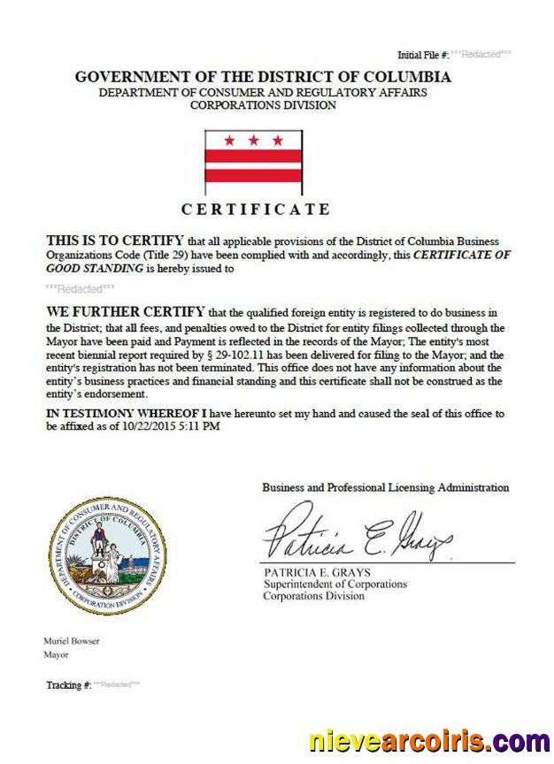 USA District Of Columbia Certificate Of Good Standing Preview