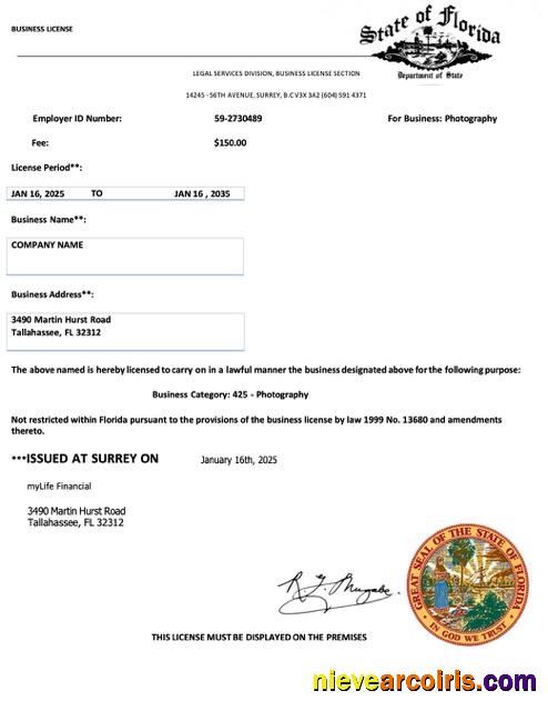 Premium USA Florida Business License Word And PDF Template