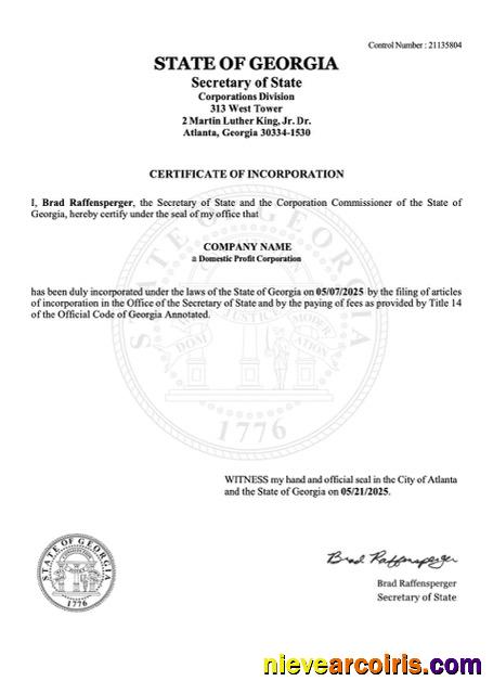 Professional USA Georgia Certificate Of Incorporation Word And PDF Template