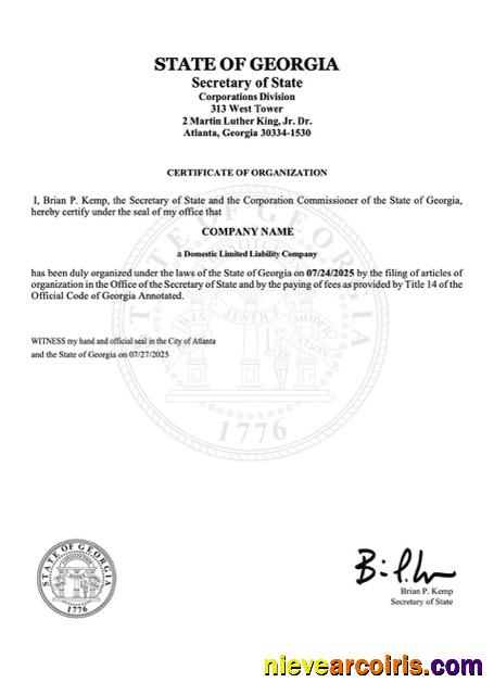 Premium USA Georgia Certificate Of Organization Word And PDF Template