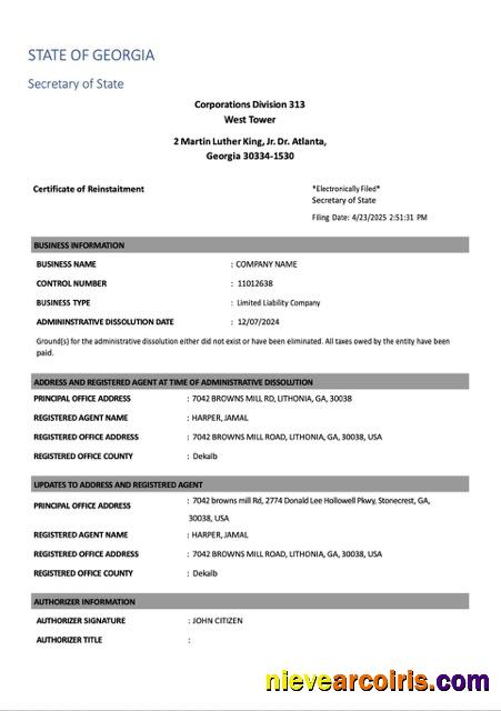 Realistic USA Georgia Certificate Of Reinstatement Word And PDF Template, Version 2