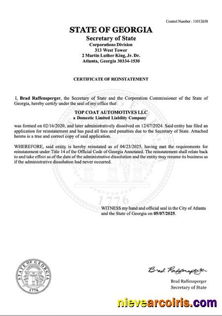 Professional USA Georgia Certificate Of Reinstatement Word And PDF Template