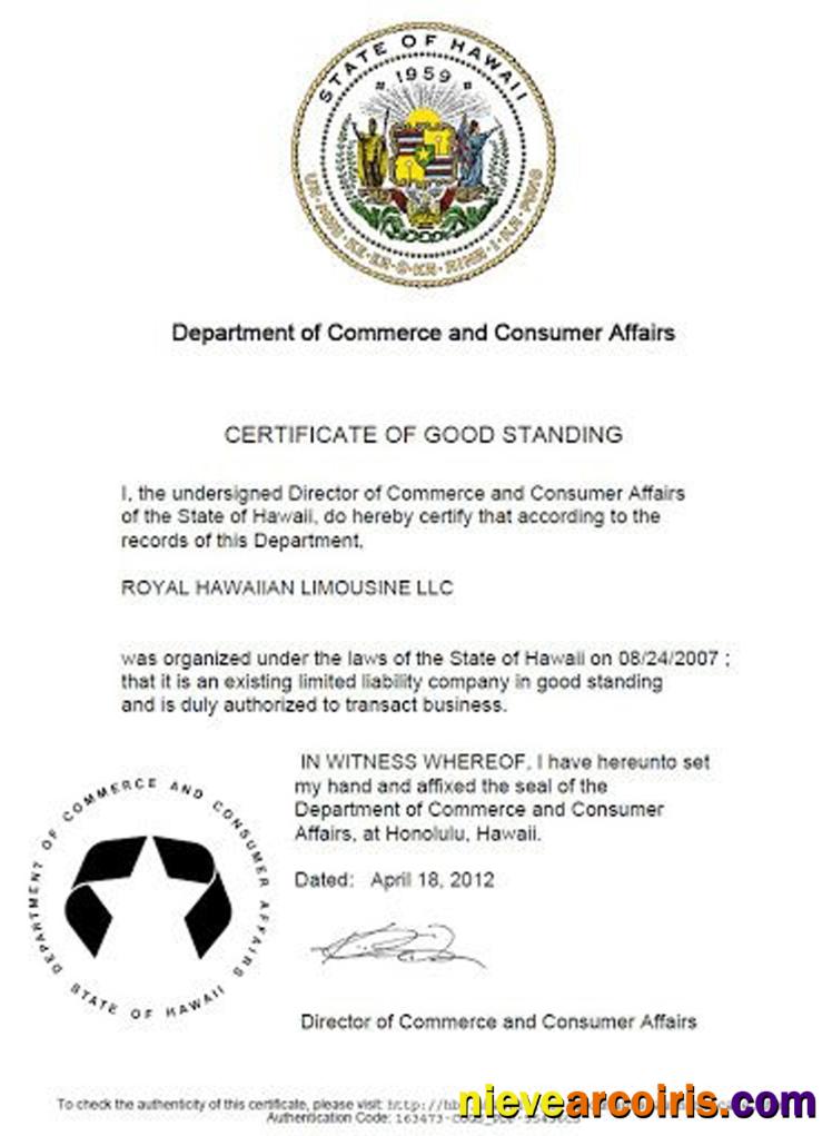 USA Hawaii Certificate Of Good Standing Sample