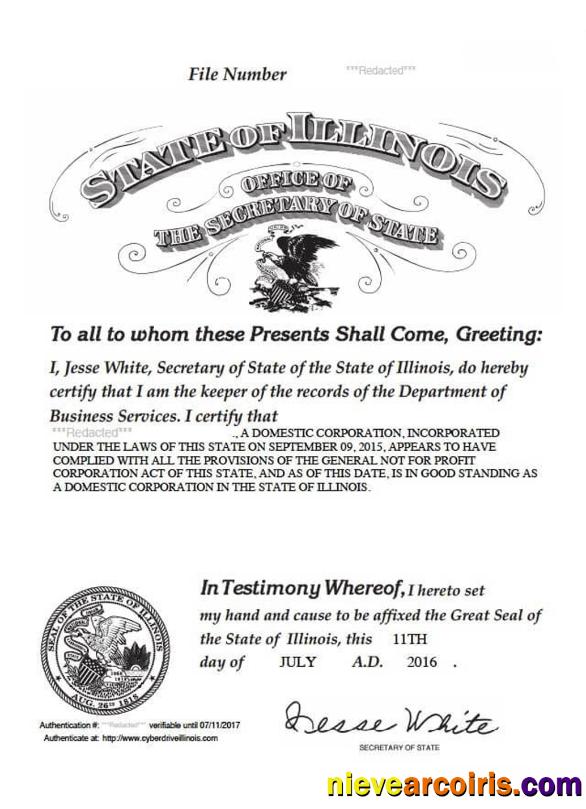 USA Illinois Certificate Of Good Standing Sample