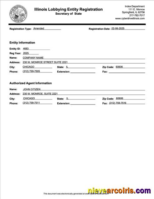 Premium USA Illinois Registration Certificate Word And PDF Template