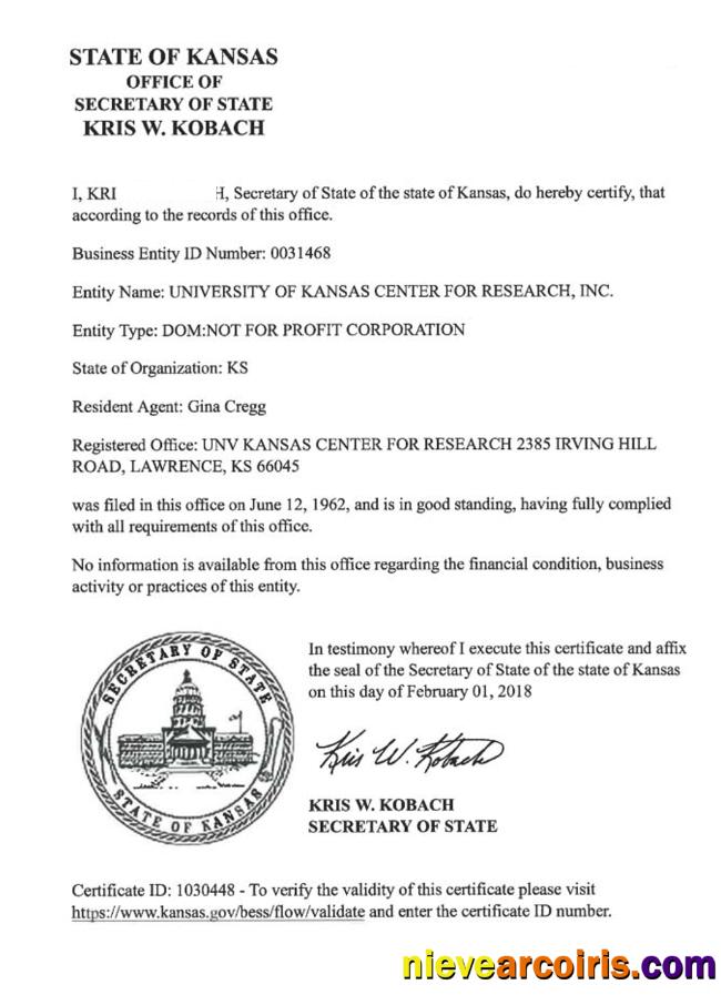 USA Kansas Certificate Of Good Standing Preview