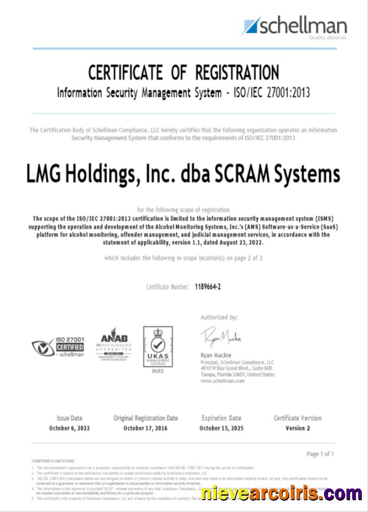 Realistic USA LMG Certificate Of Registration Word And PDF Template
