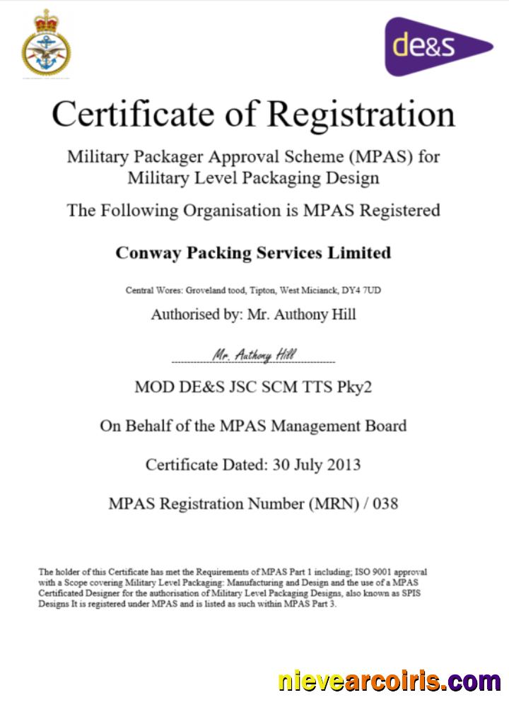 Premium USA MPAS Certificate Of Business Registration Word And PDF Template