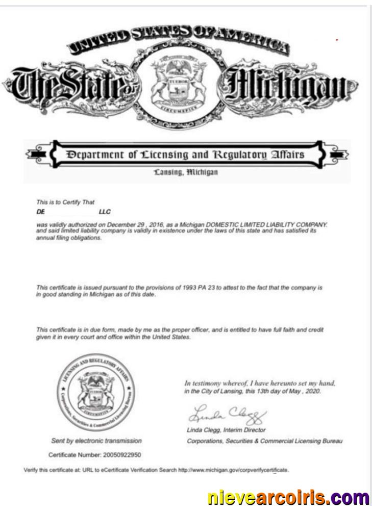 USA Michigan Certificate Of Good Standing Template