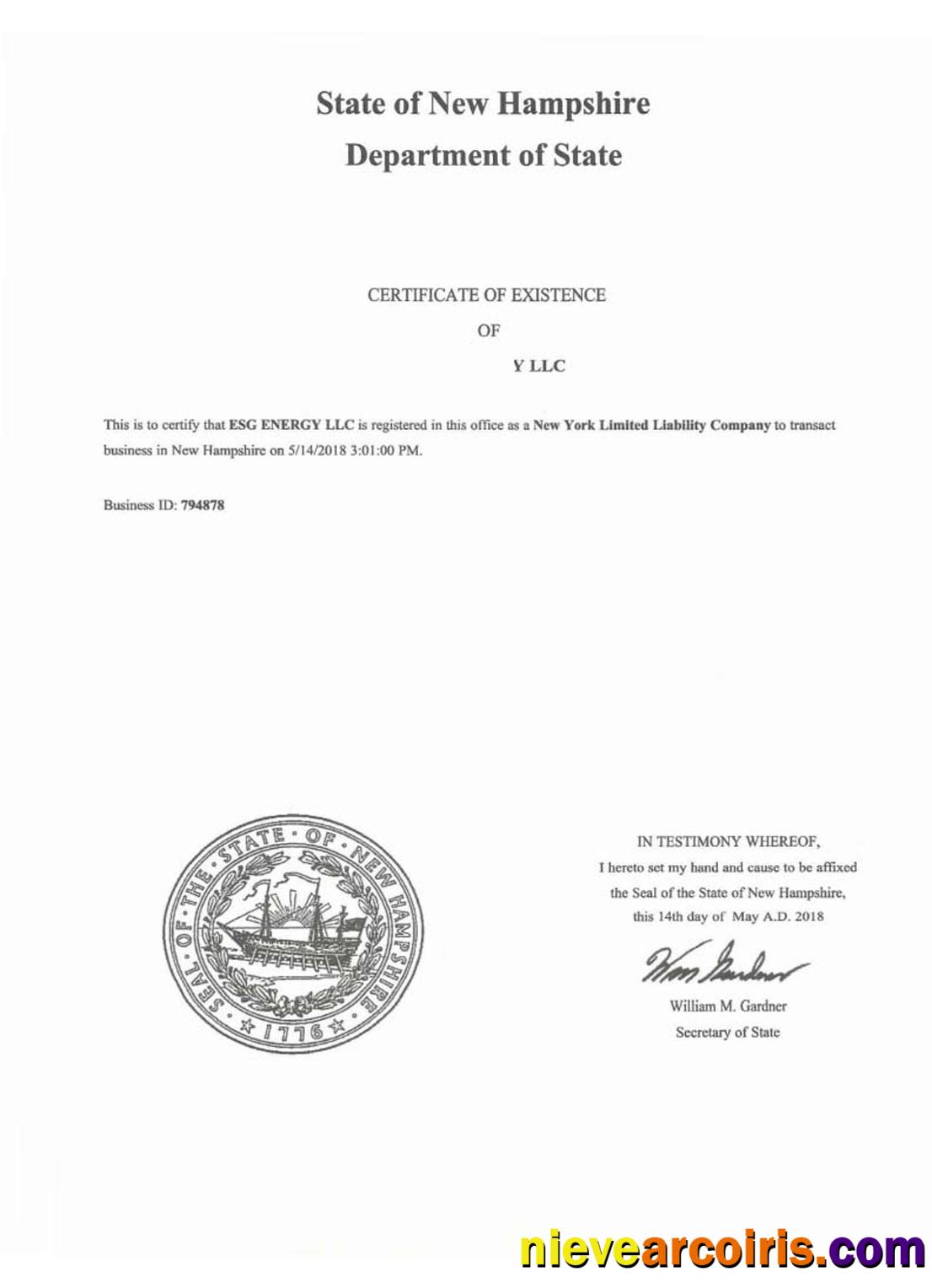 USA New Hampshire Certificate Of Good Standing Preview