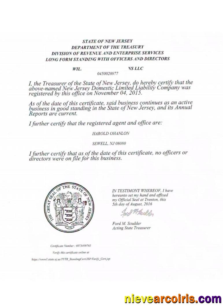 USA New Jersey Certificate Of Good Standing Sample