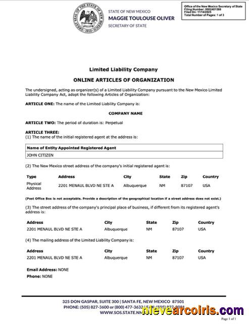 Editable USA New Mexico Online Articles Of Organization Word And PDF Template