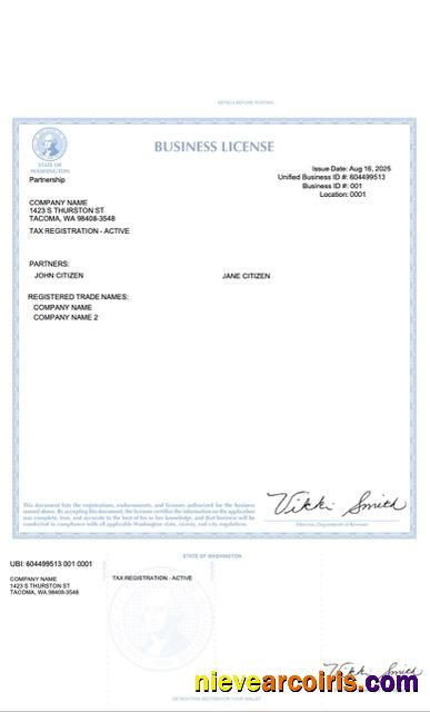 Realistic USA Washington Business License Word And PDF Template