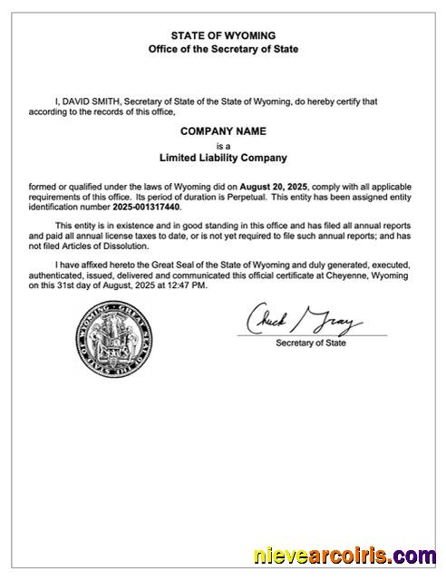 Editable USA Wyoming Certificate Of Registration Word And PDF Template, Version 2
