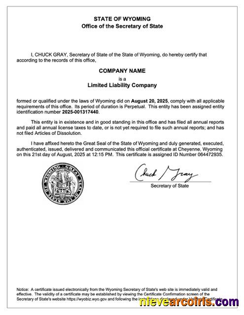 Premium USA Wyoming Certificate Of Registration Word And PDF Template