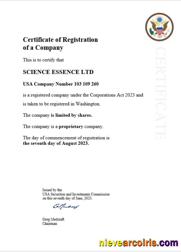 Professional USA Business Registration Certificate Word And PDF Template