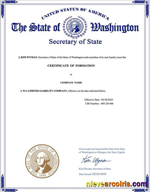 Realistic USA Certificate Of Formation Word And PDF Template