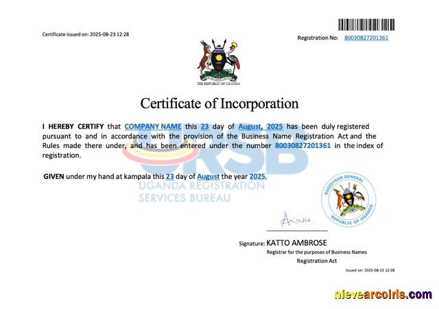 Realistic Uganda Company Incorporation Certificate Word And PDF Template