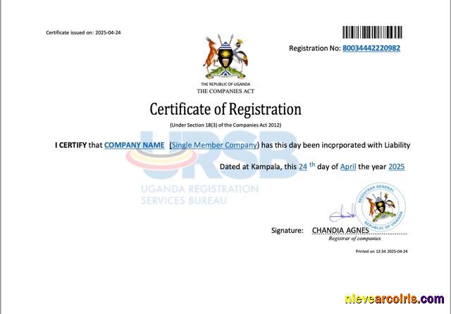 Editable Uganda Company Registration Certificate Word And PDF Template