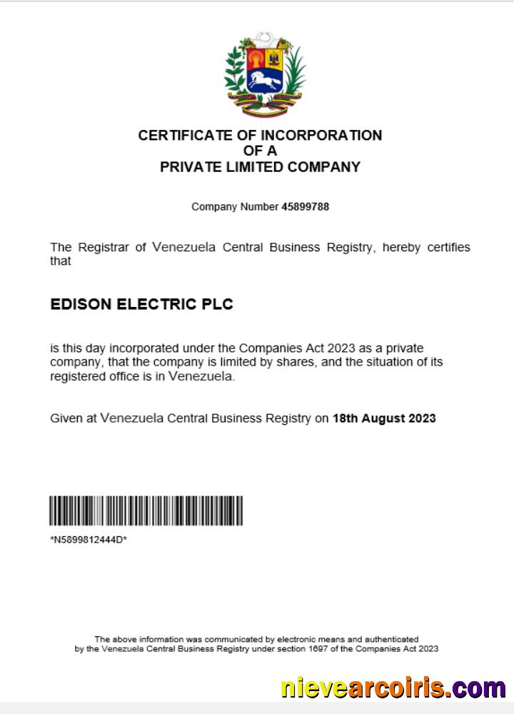 Professional Venezuela Business Registration Certificate Word And PDF Template