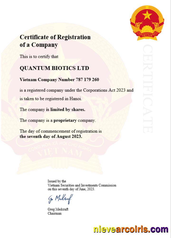 Editable Vietnam Business Registration Certificate Word And PDF Template