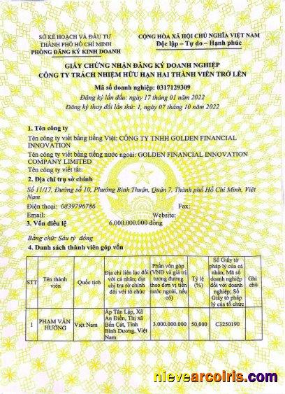Vietnam Company Register Entry Certificate Sample