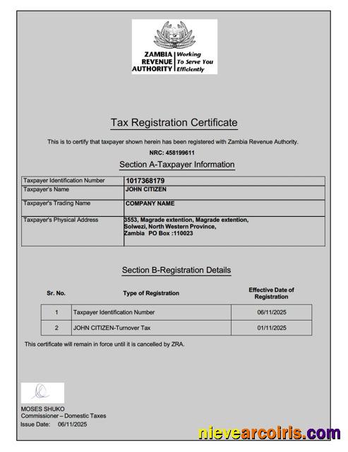 Professional Zambia Tax Registration Certificate Word And PDF Template