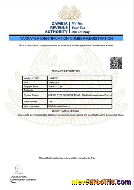 Professional Zambia Taxpayer Identification Number Registration Word And PDF Template