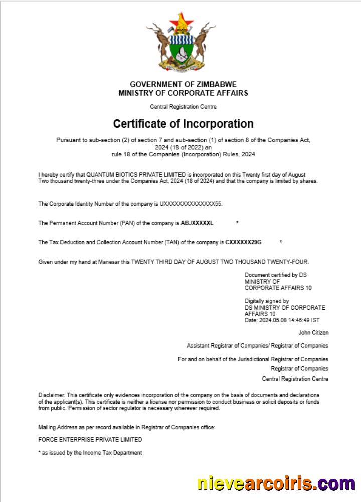 Premium Zimbabwe Business Registration Certificate Word And PDF Template