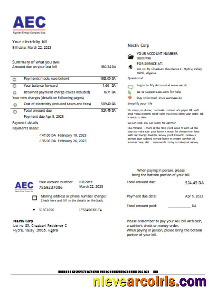 AEC Algerian Energy Company Utility Business Bill, SCR Sample