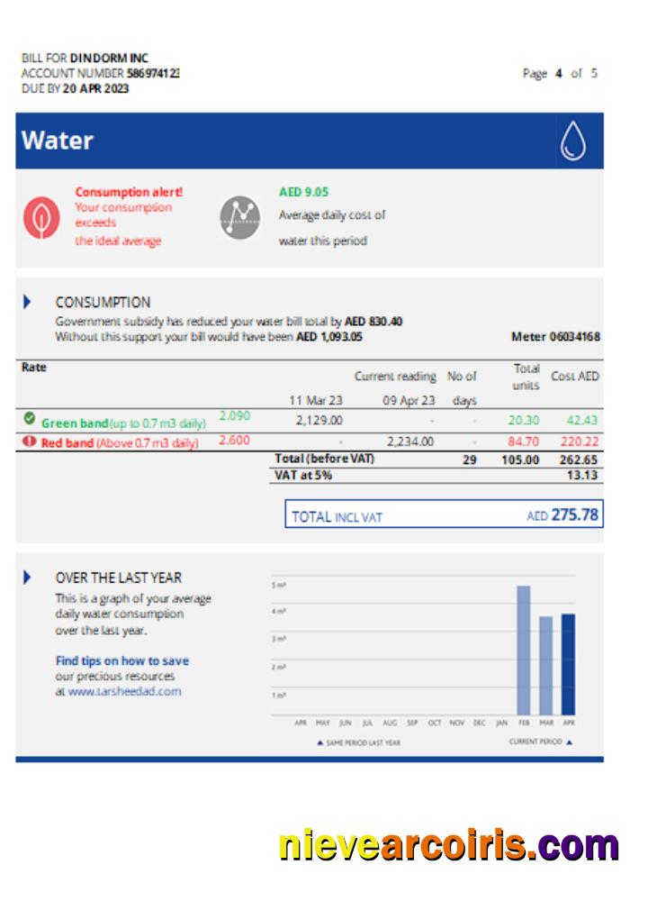 Al Ain Distribution Company Utility Business Bill, Page 4, SCR Preview
