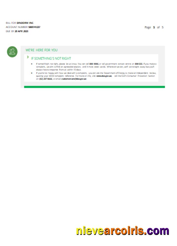 Al Ain Distribution Company Utility Business Bill, Page 5, SCR Template