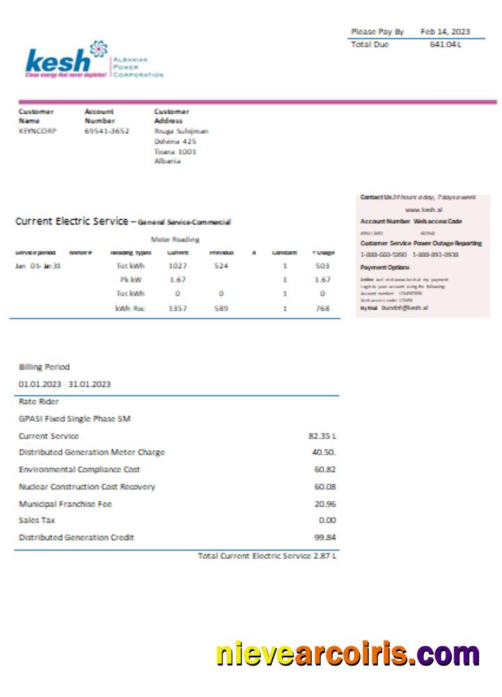 Albanian Power Corporation Utility Business Bill, SCR Sample