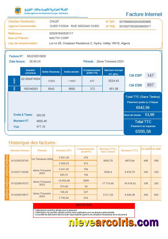 Premium Algeria Societe Algerien Distribution Internet Business Utility Bill Word And PDF Template