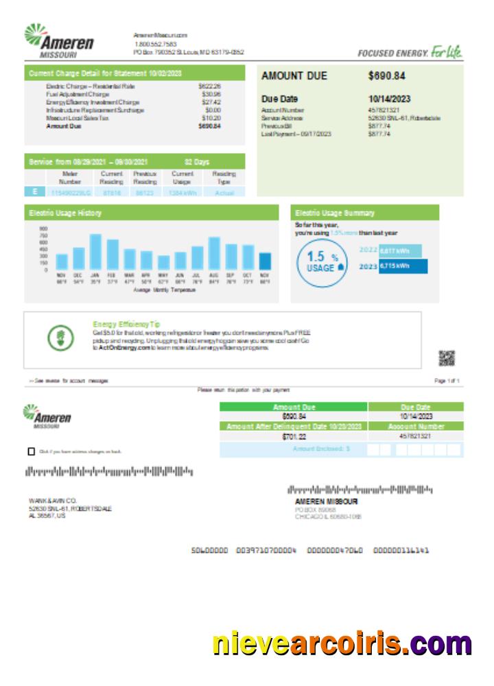 Ameren Missouri Electricity Utility Business Bill, Page 1, SCR Photolook