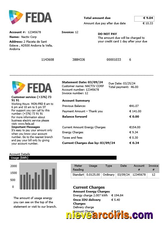 Editable Andorra Electric Forces Of Andorra Business Utility Bill Template In Word And PDF Formats
